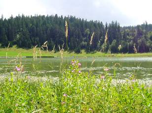 Le lac des Taillres