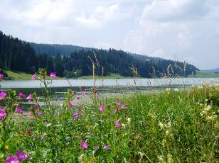 Le lac des Taillres