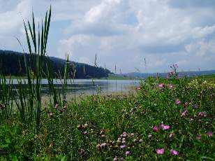 Le lac des Taillres