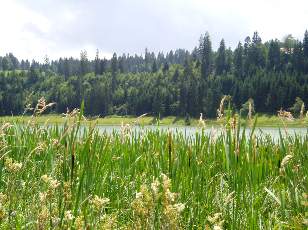 Le lac des Taillres