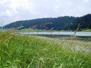 Le lac des Taillres