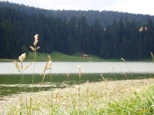 Le lac des Taillres