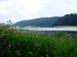 Le lac des Taillres