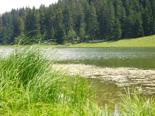 Le lac des Taillres