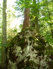 Magie du Creux-du-Van