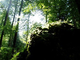 Magie du Creux-du-Van