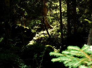 Magie du Creux-du-Van