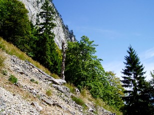 Magie du Creux-du-Van