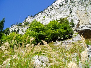 Magie du Creux-du-Van