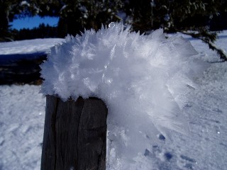 Beaut et magie de la Nature jouant avec les lments!