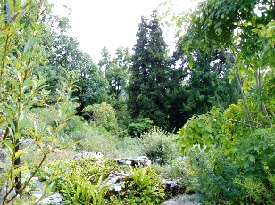 Jardin botanique au mois d'aot  Berne