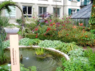 Jardin botanique au mois d'aot  Berne