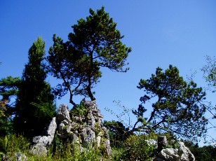 Jardin botanique au mois d'aot  Genve