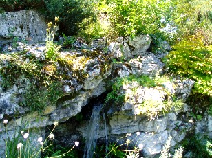 Jardin botanique au mois d'aot  Genve