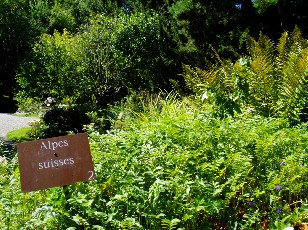 Jardin botanique au mois d'aot  Genve