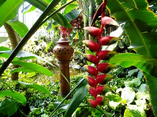 Jardin botanique au mois d'aot  Genve