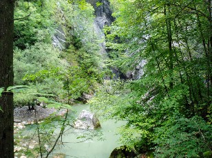 Les gorges de Jogne prs de Broc