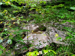 Les gorges de Jogne prs de Broc