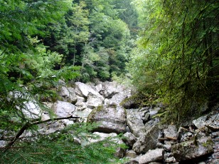 Les gorges de Jogne prs de Broc