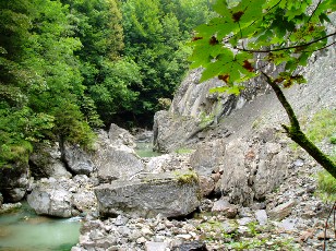 Les gorges de Jogne prs de Broc