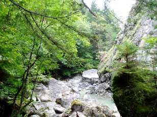 Les gorges de Jogne prs de Broc