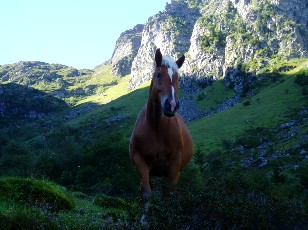 La monte au lac Bleu, regard attentif...