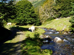 Monte au lac d'Ourrec