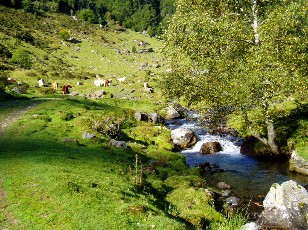 Monte au lac d'Ourrec