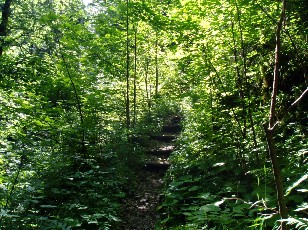 Gorges de la Pota-Raisse