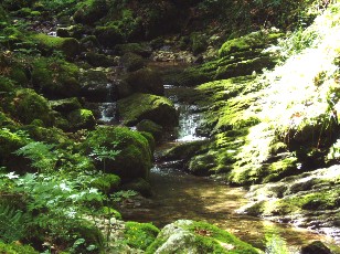 Gorges de la Pota-Raisse