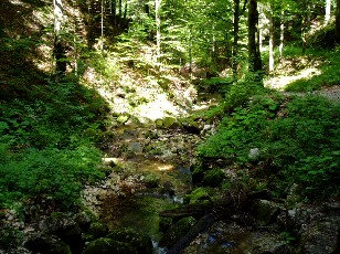 Gorges de la Pota-Raisse