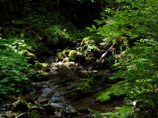 Gorges de la Pota-Raisse