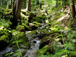 Gorges de la Pota-Raisse