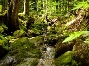 Gorges de la Pota-Raisse