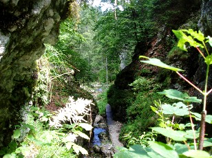 Gorges de la Pota-Raisse