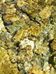 Magie et Beaut de la Nature au Pont d'Espagne !