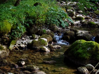 Gorges de Noirvaux